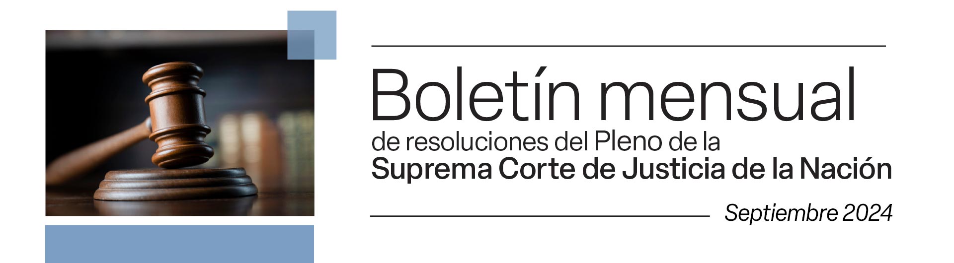 Boletín resoluciones del pleno 